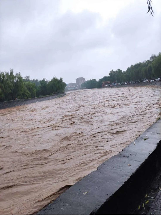 暴雨中的軒振保安165